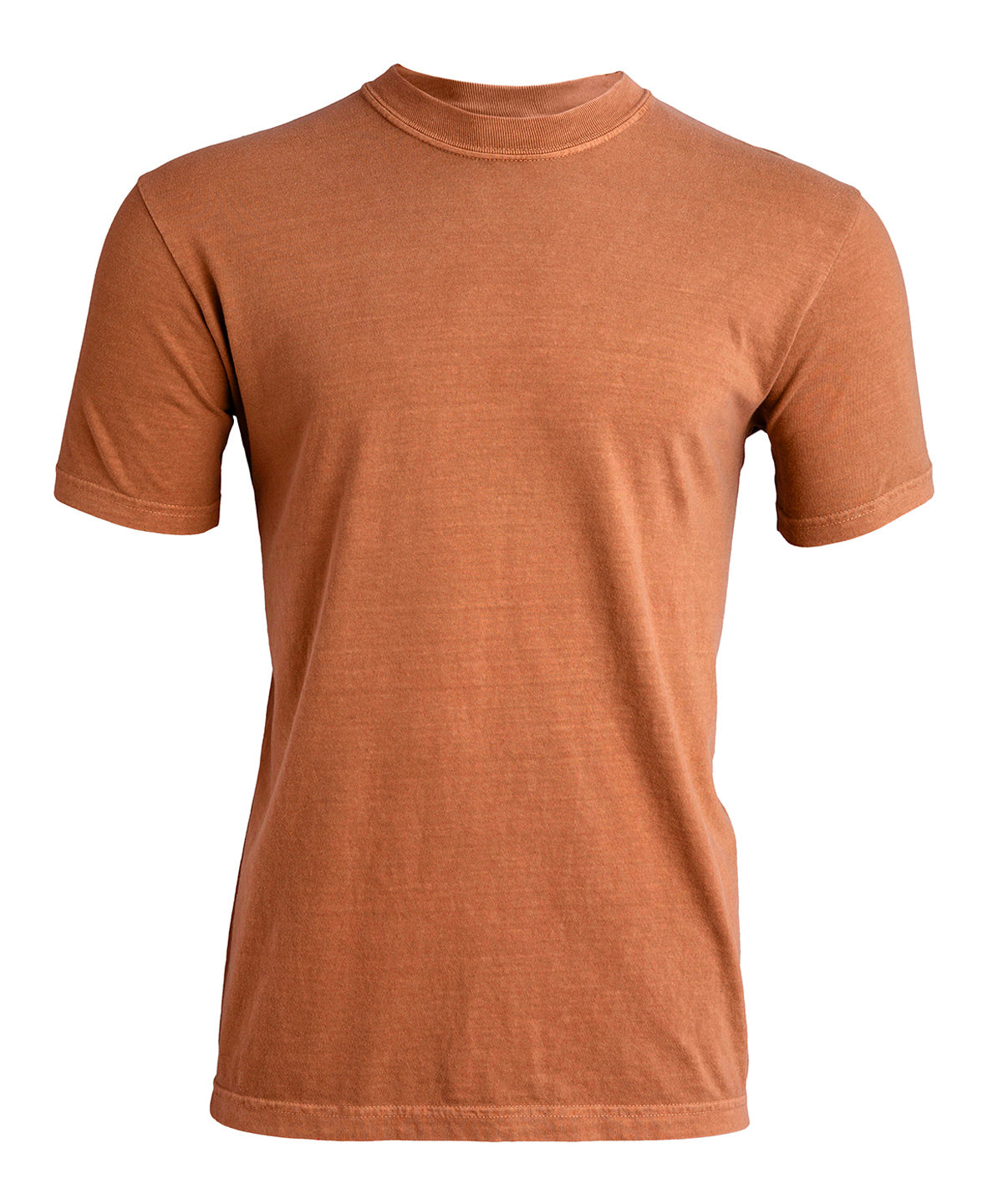Heavyweight Adult T-Shirt - CO100