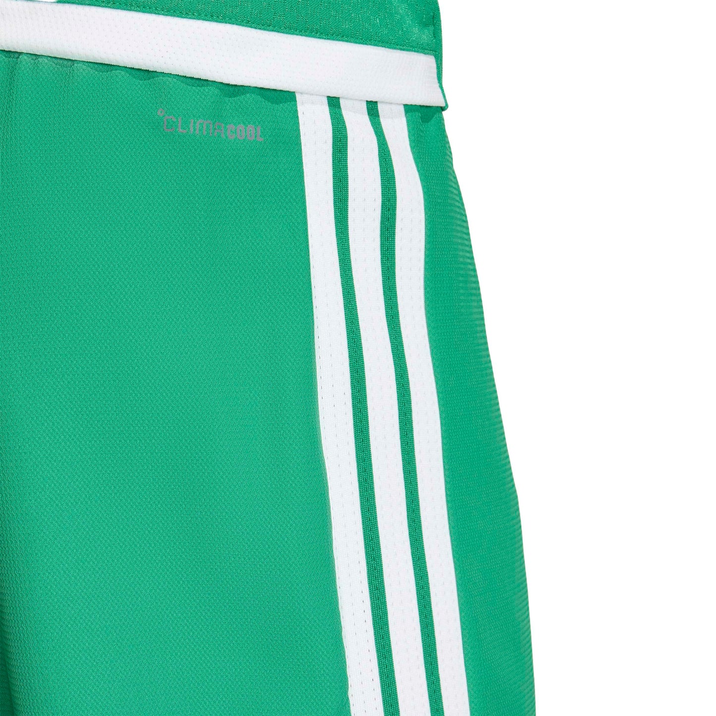 Team Green/White