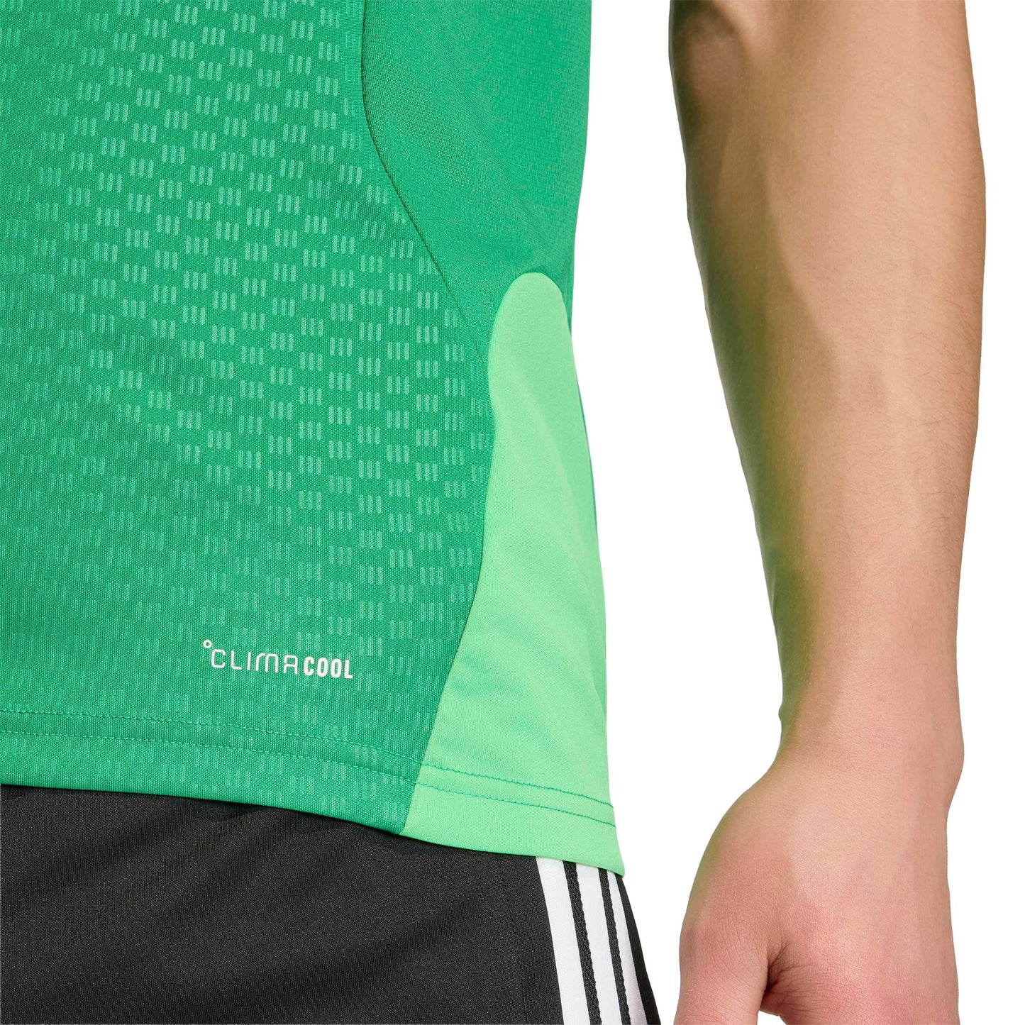 Team Green/White