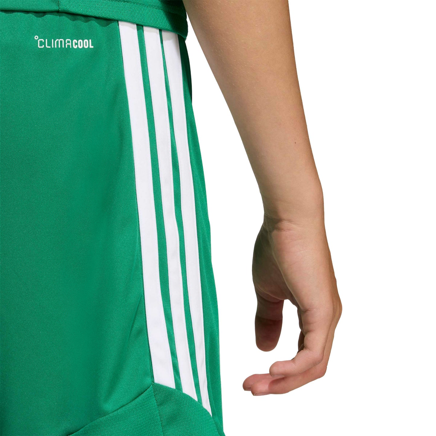 Team Green/White