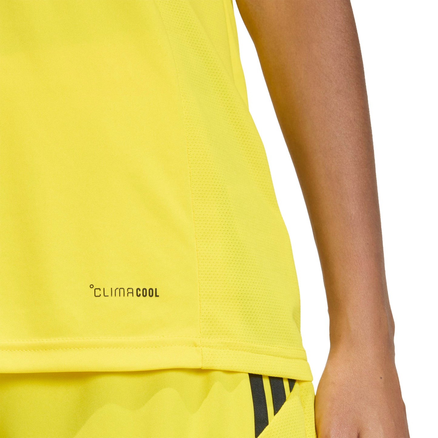 Team Yellow/Black
