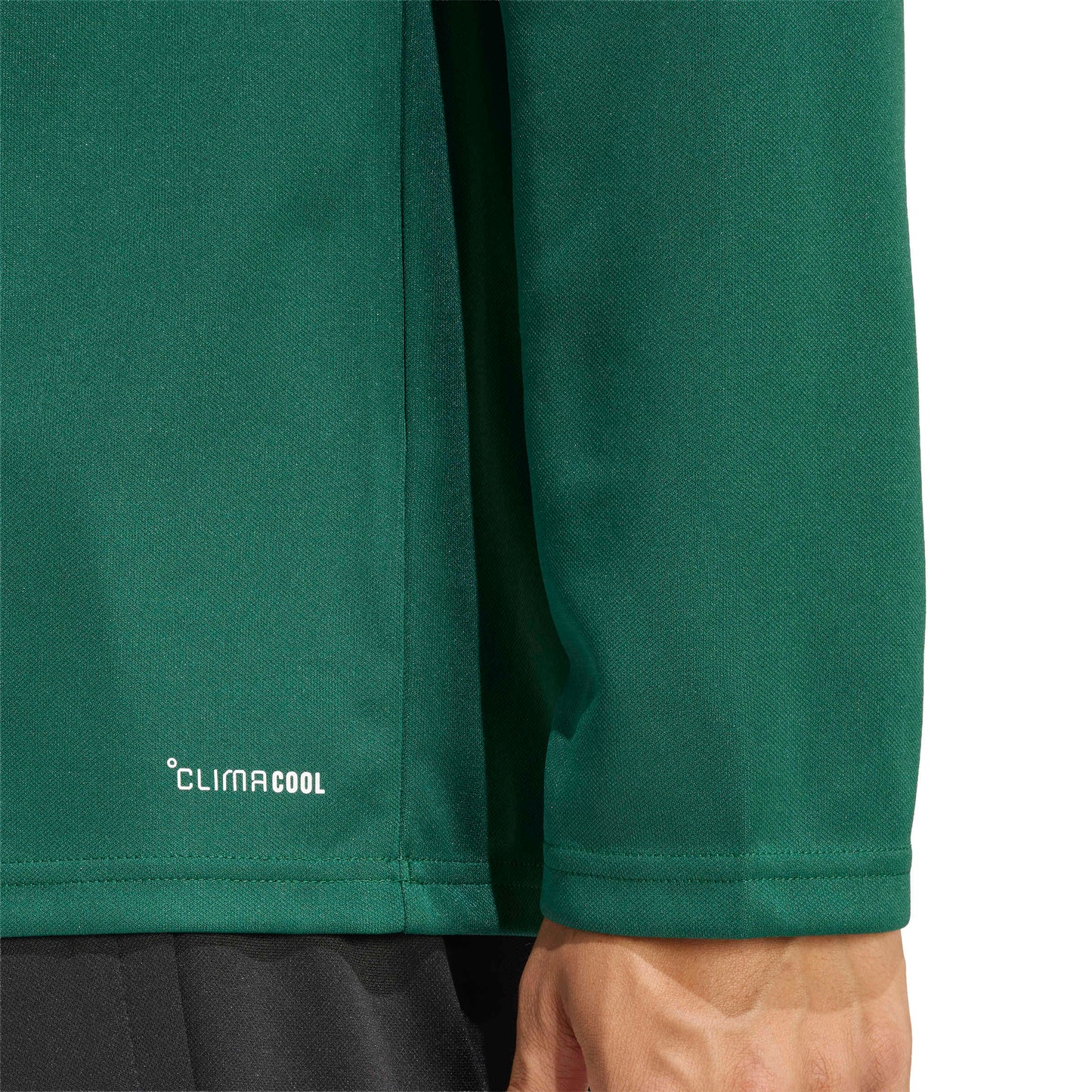 Team Dark Green/White