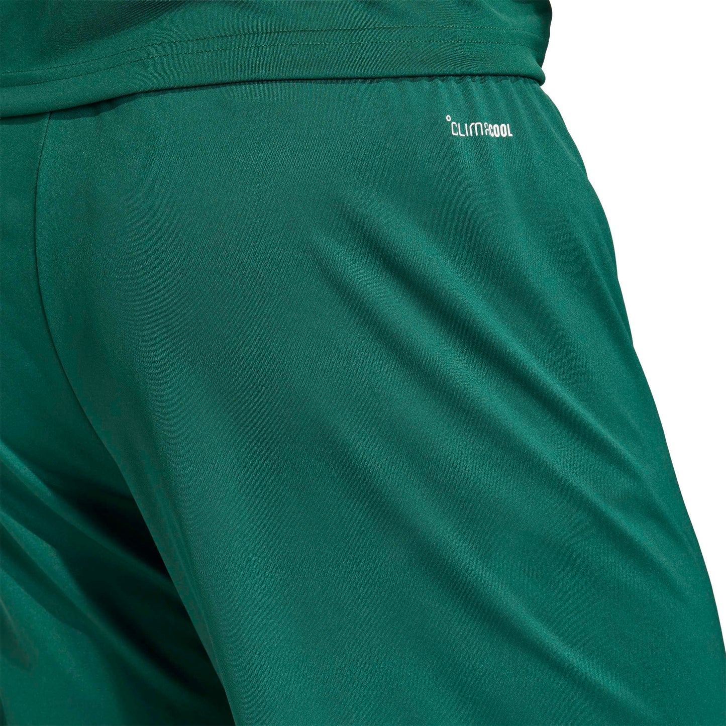 Team Dark Green/White