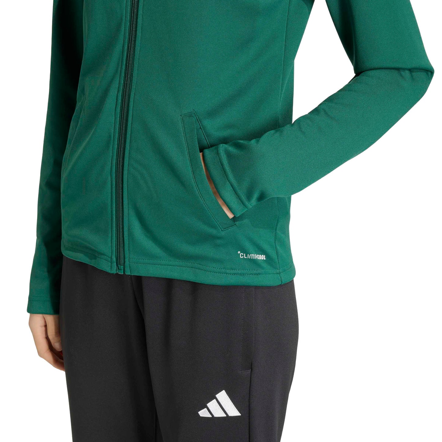 Team Dark Green/White