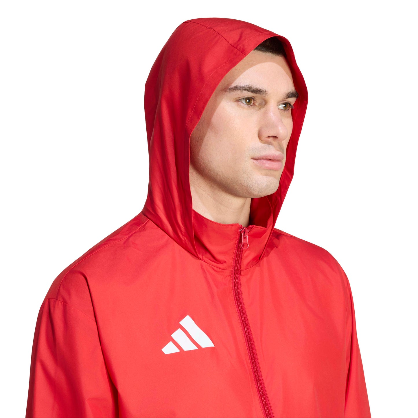 Team Power Red 2