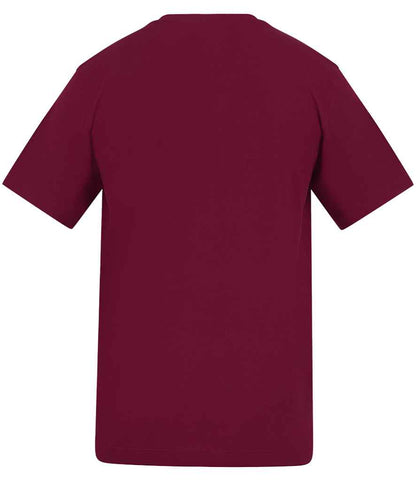 AT002 Burgundy Back