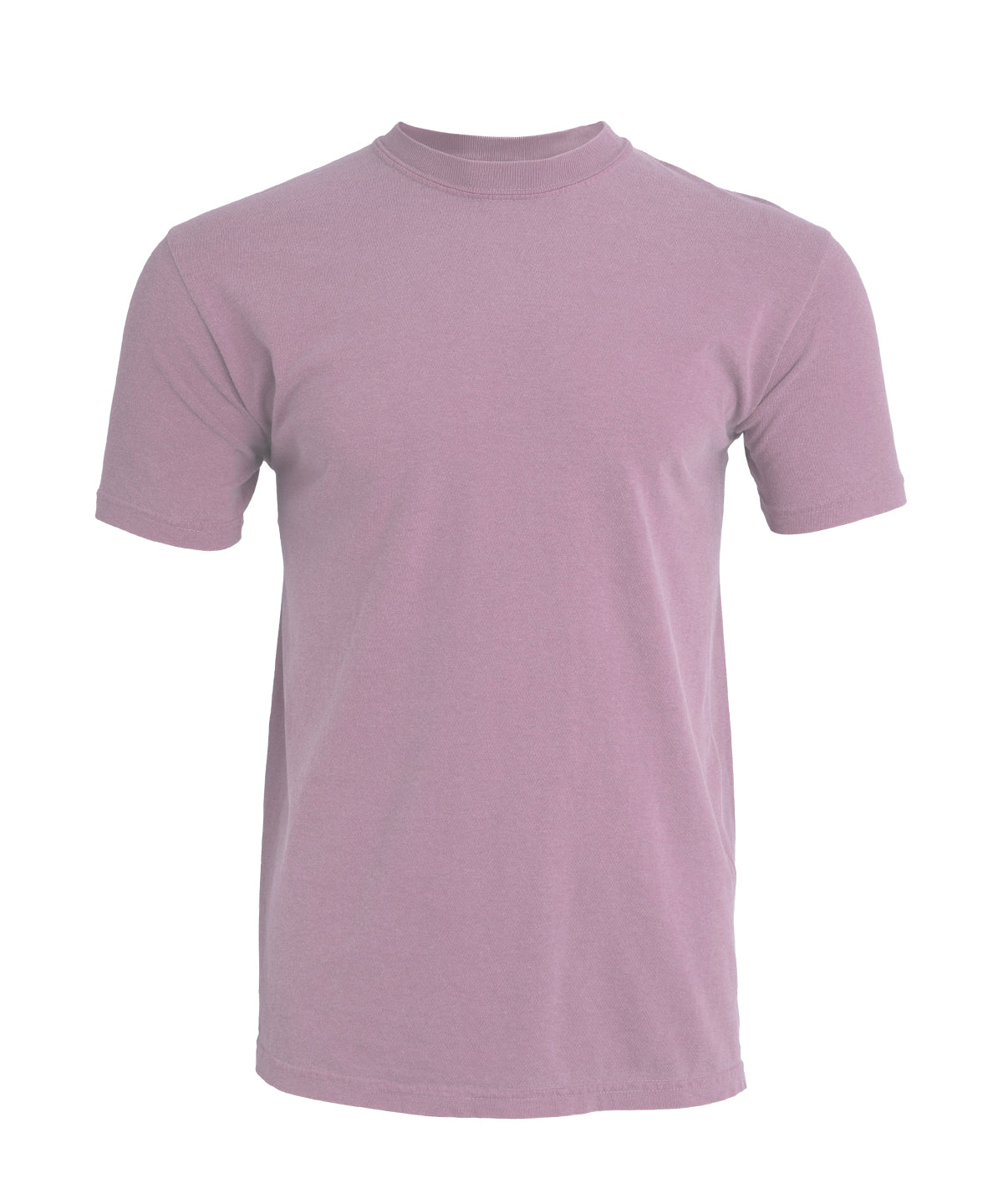 Heavyweight Adult T-Shirt - CO100