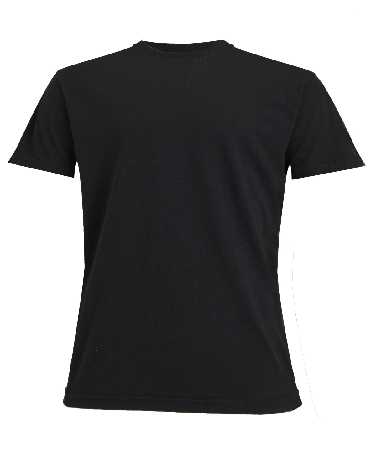 Heavyweight Adult T-Shirt - CO100