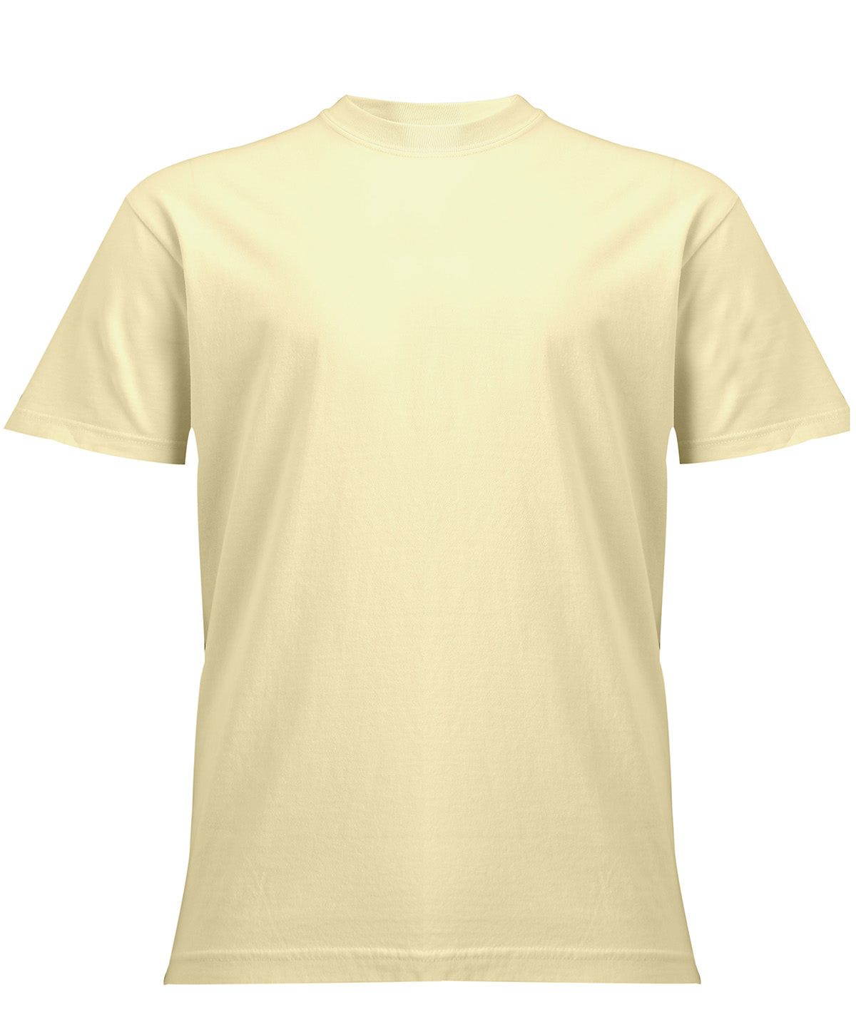 Heavyweight Adult T-Shirt - CO100