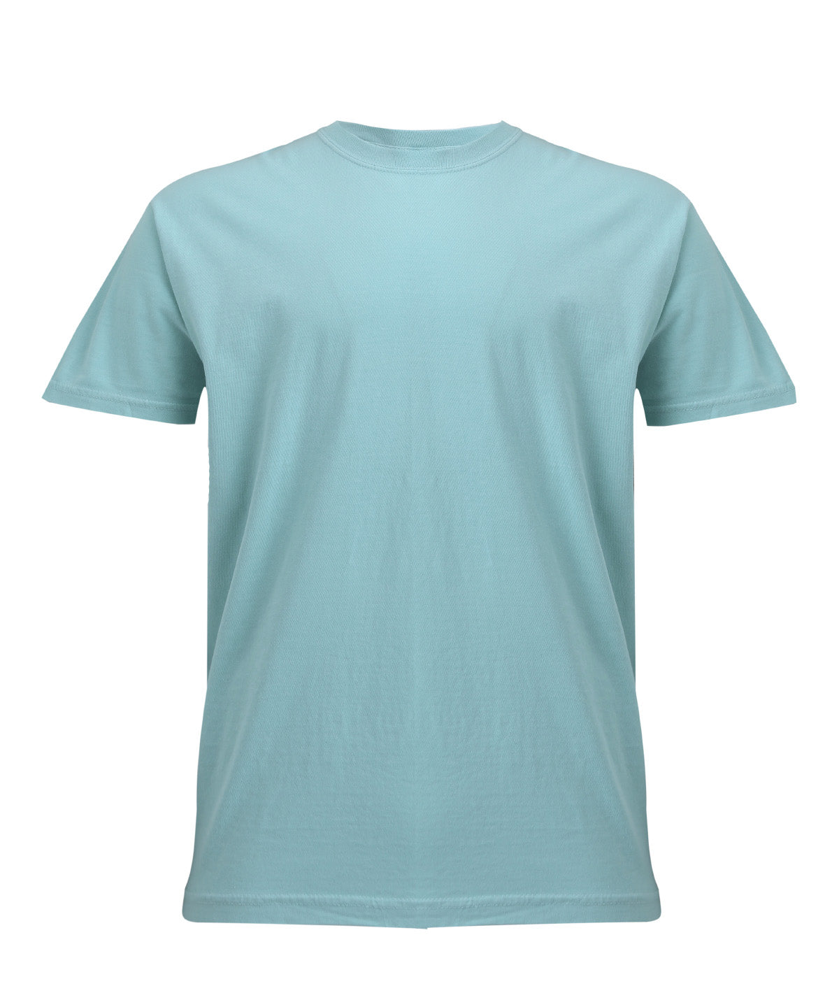 Heavyweight Adult T-Shirt - CO100