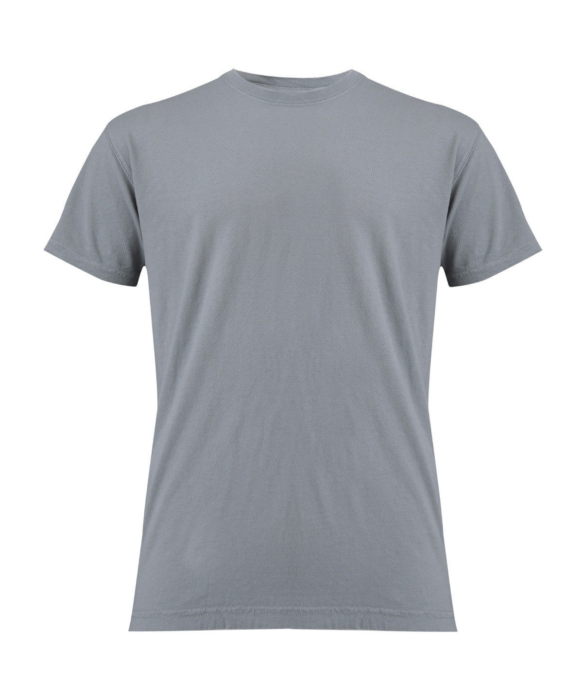 Heavyweight Adult T-Shirt - CO100