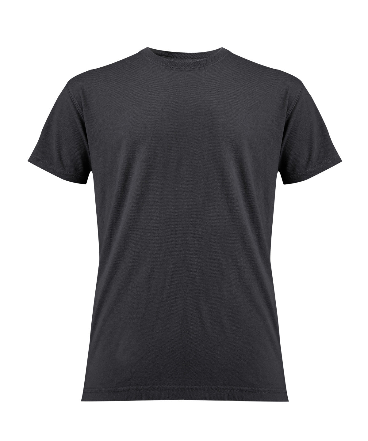 Heavyweight Adult T-Shirt - CO100