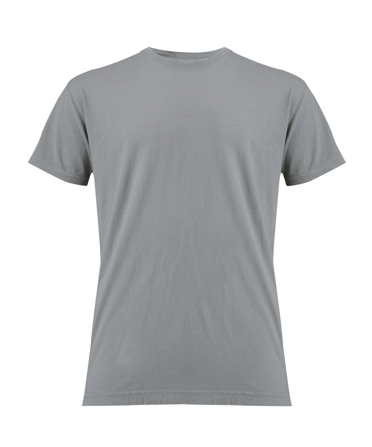 Heavyweight Adult T-Shirt - CO100