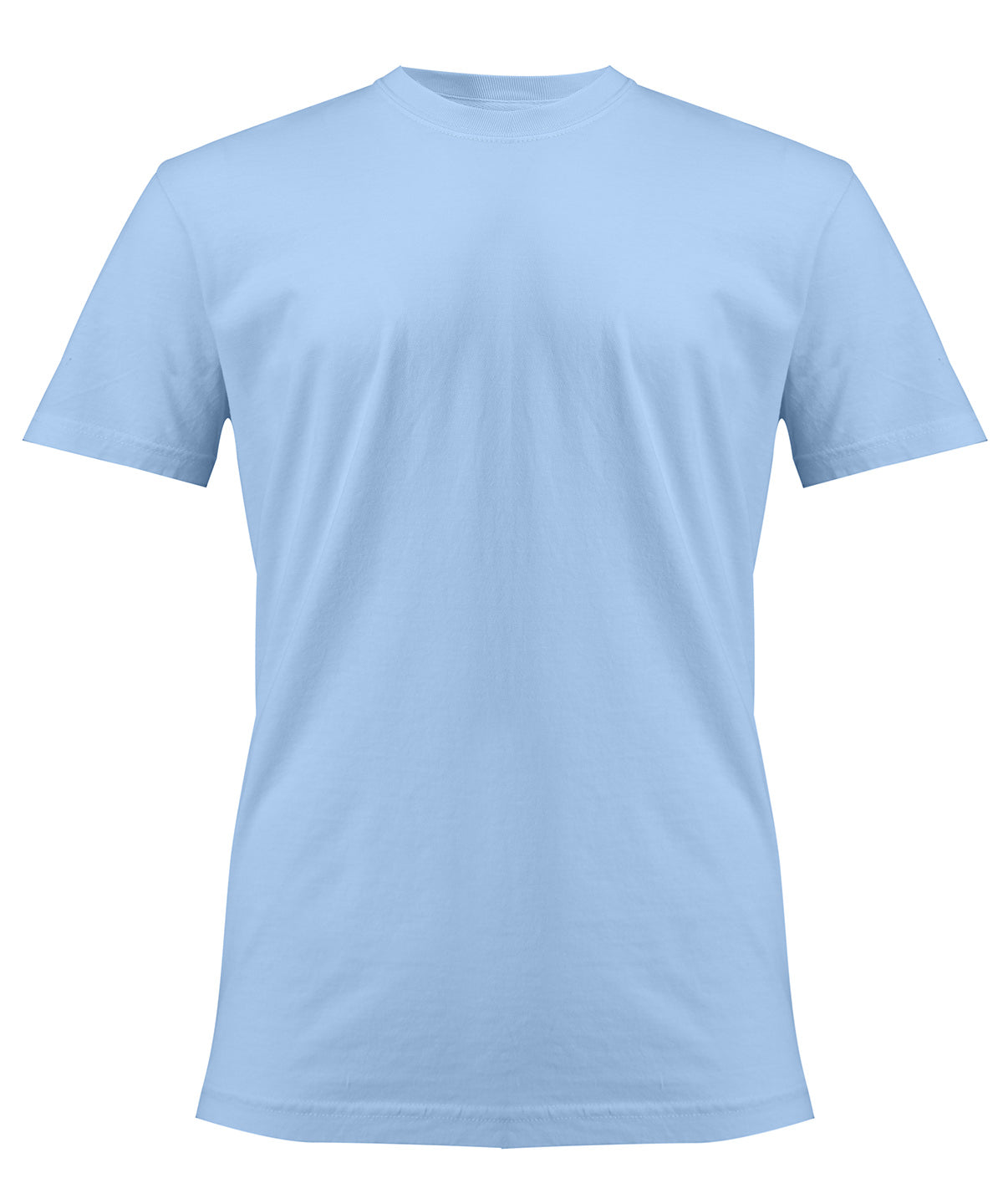Heavyweight Adult T-Shirt - CO100