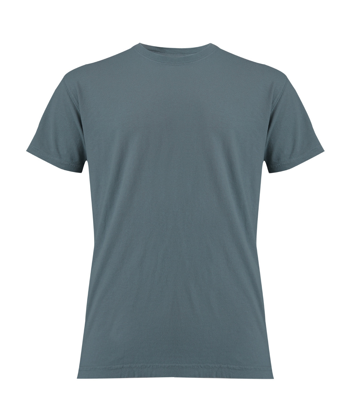 Heavyweight Adult T-Shirt - CO100
