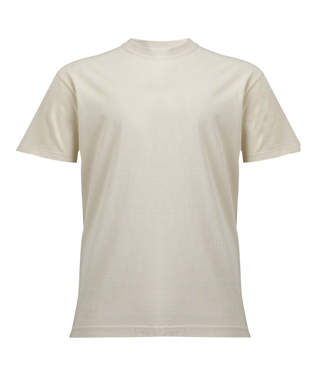 Heavyweight Adult T-Shirt - CO100