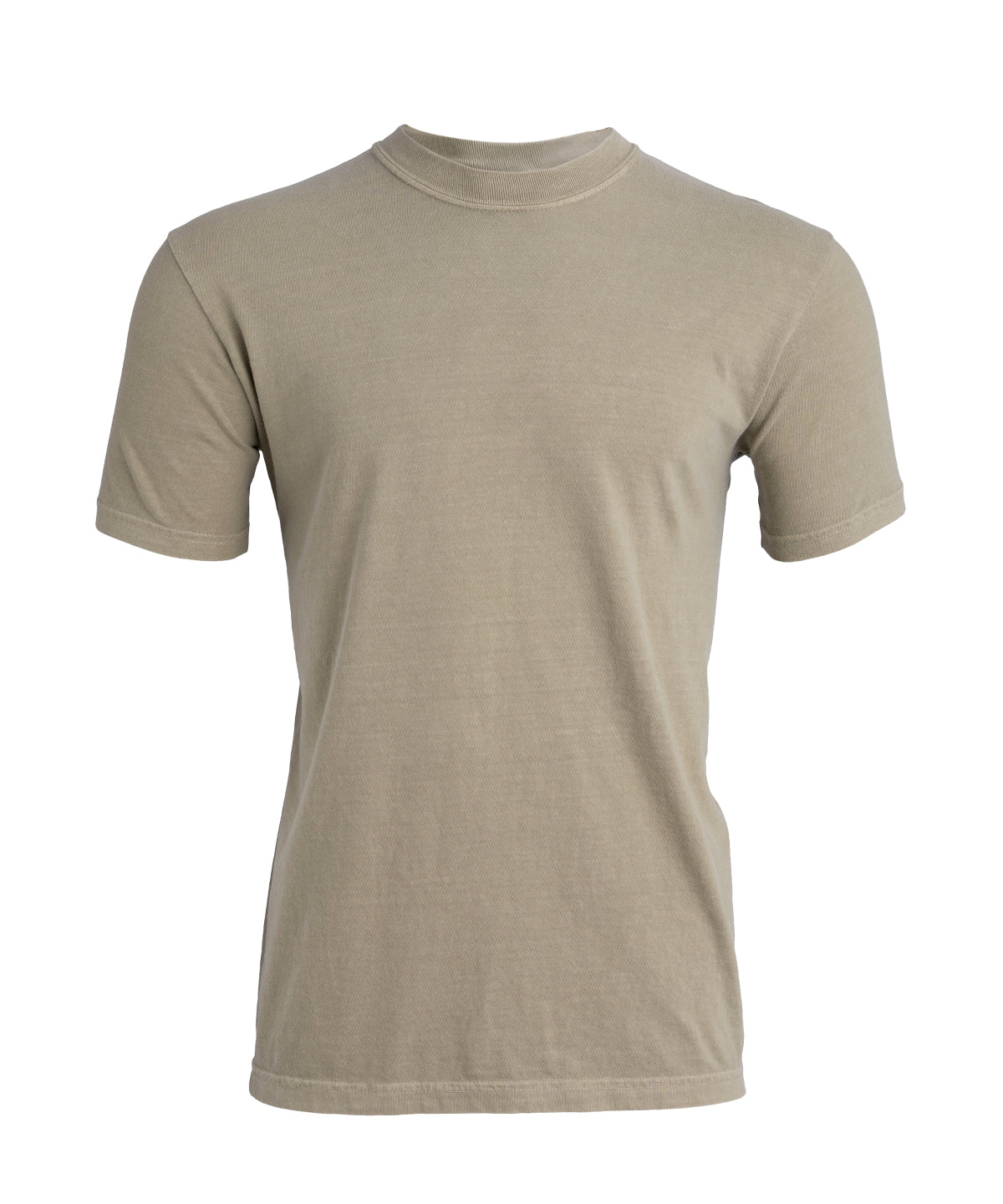 Heavyweight Adult T-Shirt - CO100