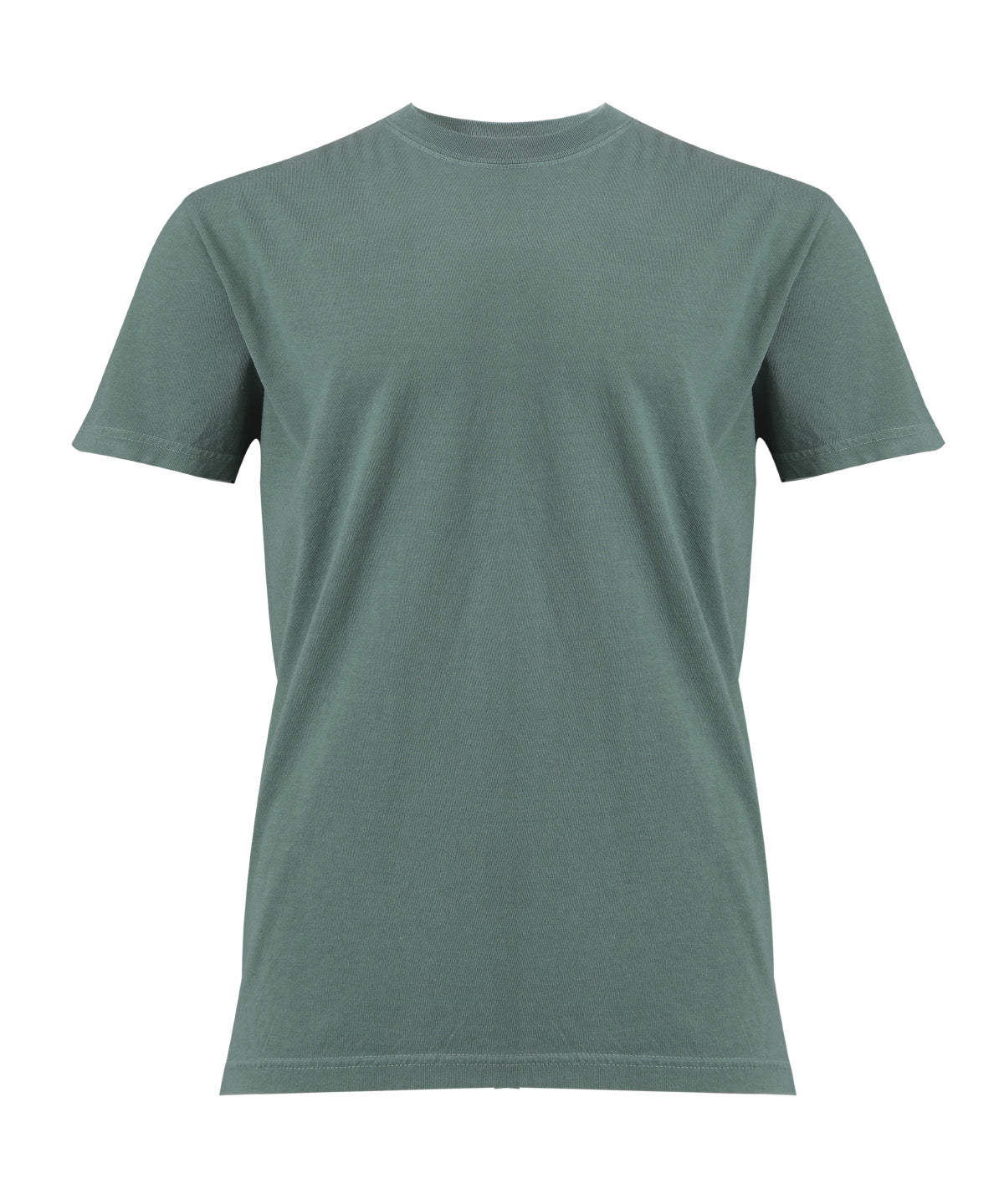 Heavyweight Adult T-Shirt - CO100