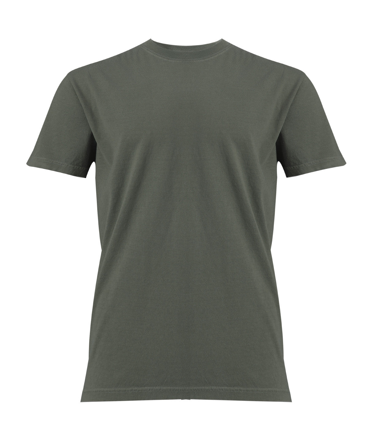 Heavyweight Adult T-Shirt - CO100