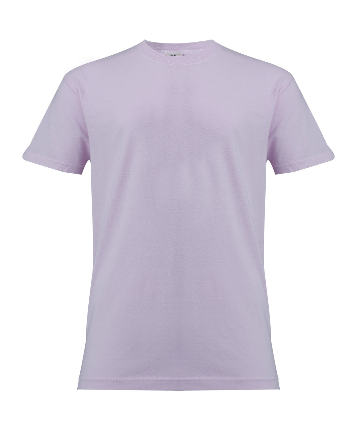 Heavyweight Adult T-Shirt - CO100