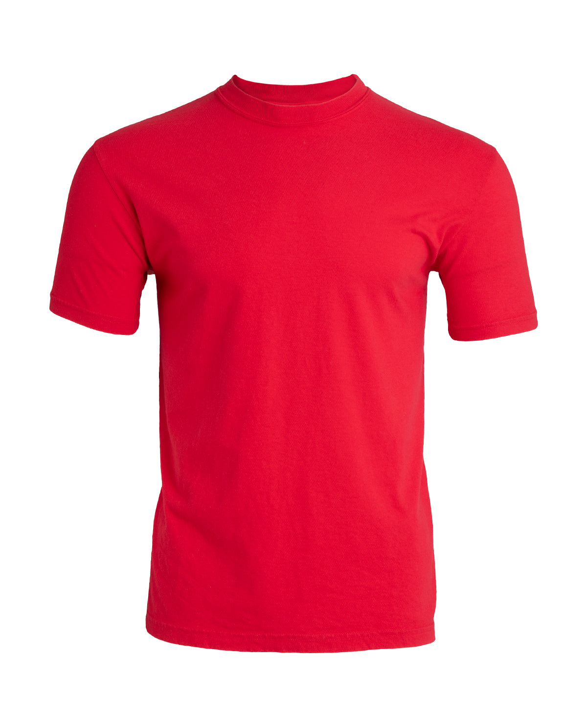 Heavyweight Adult T-Shirt - CO100