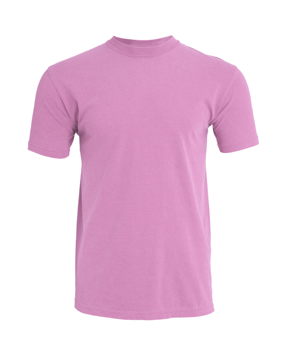 Heavyweight Adult T-Shirt - CO100