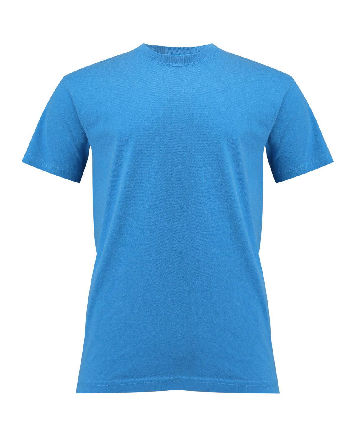 Heavyweight Adult T-Shirt - CO100