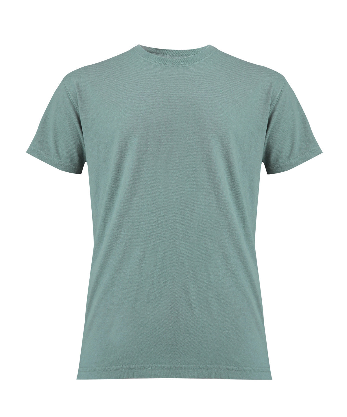 Heavyweight Adult T-Shirt - CO100