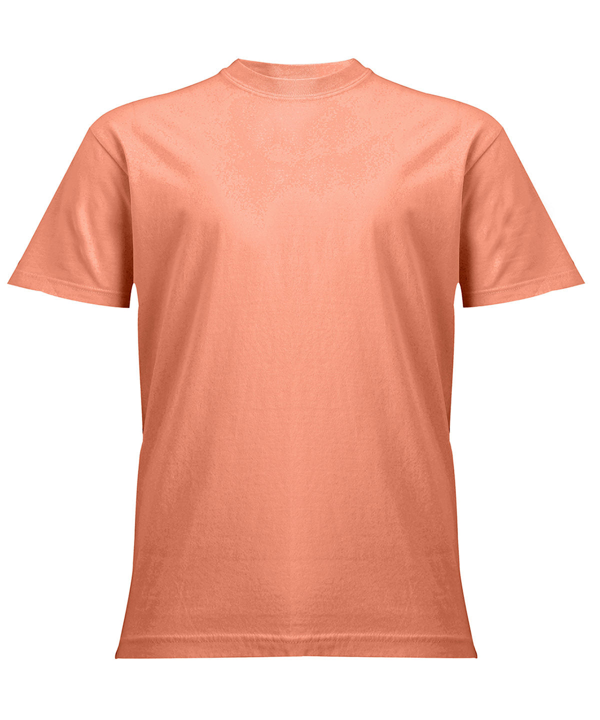 Heavyweight Adult T-Shirt - CO100