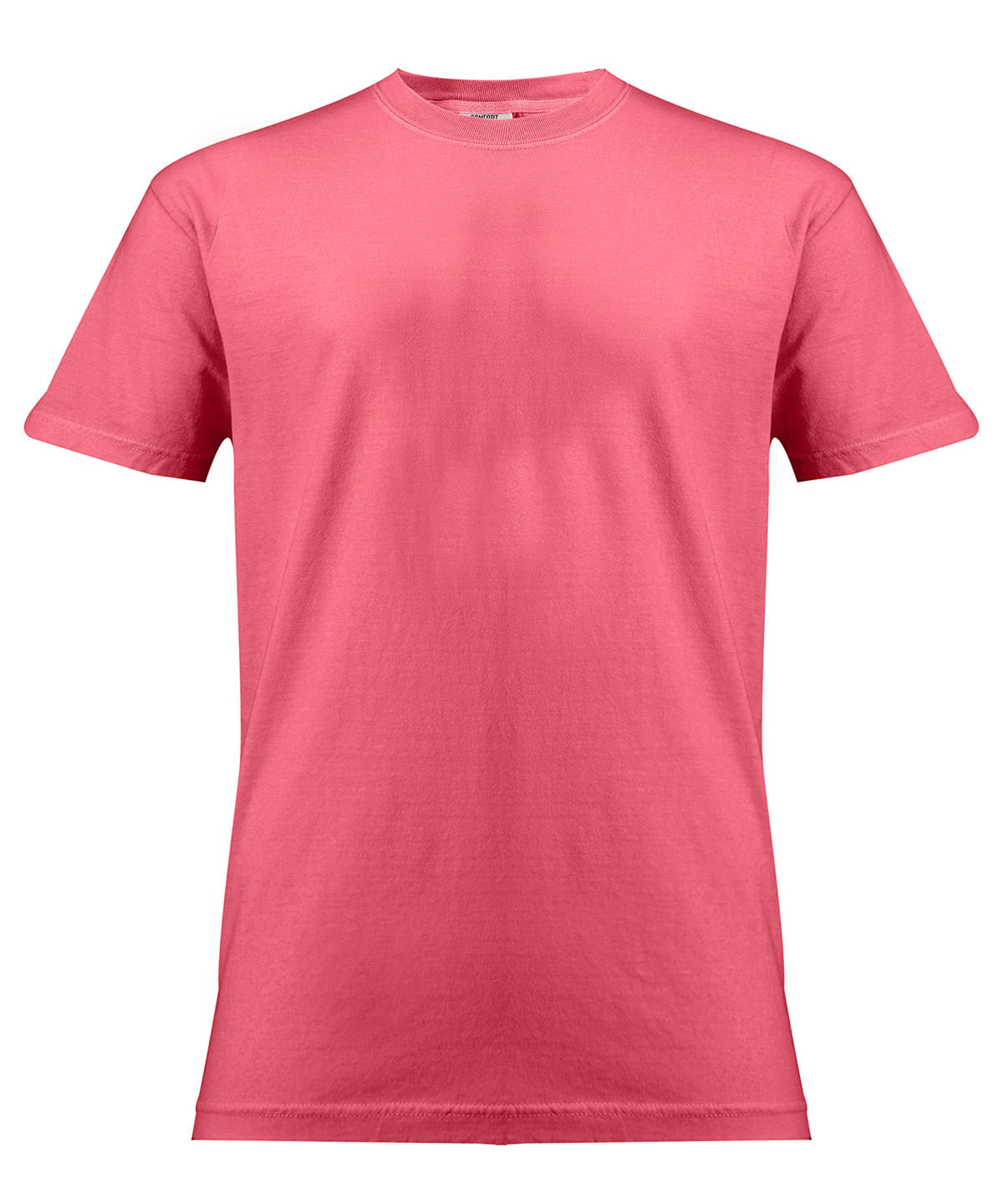 Heavyweight Adult T-Shirt - CO100