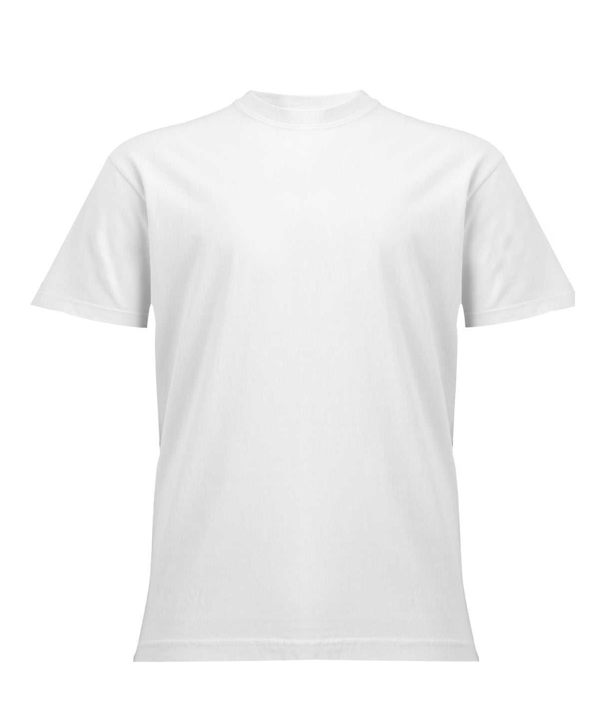 Heavyweight Adult T-Shirt - CO100