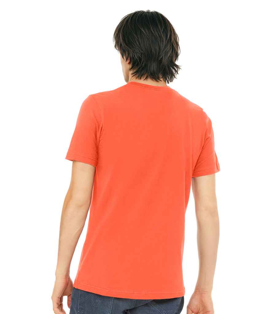CV3001 Coral Model
