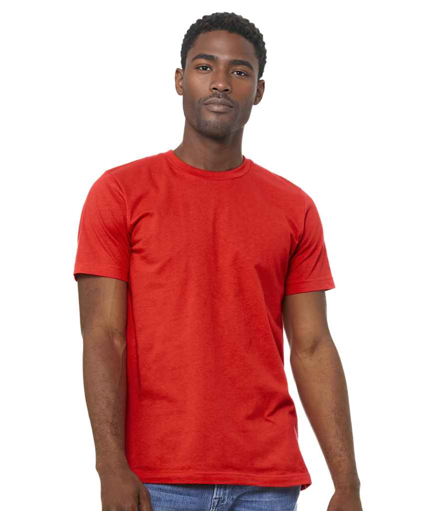 CV3001 Poppy Model