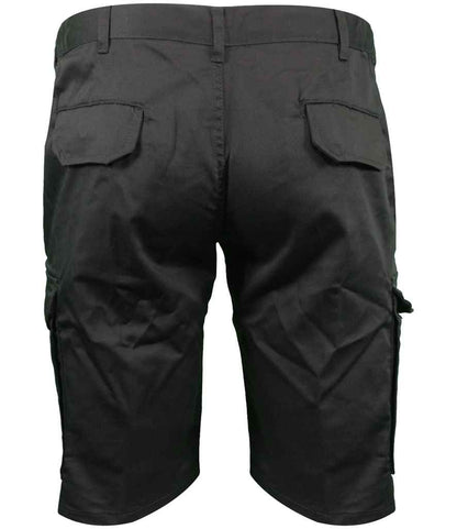 HL241 Black Back