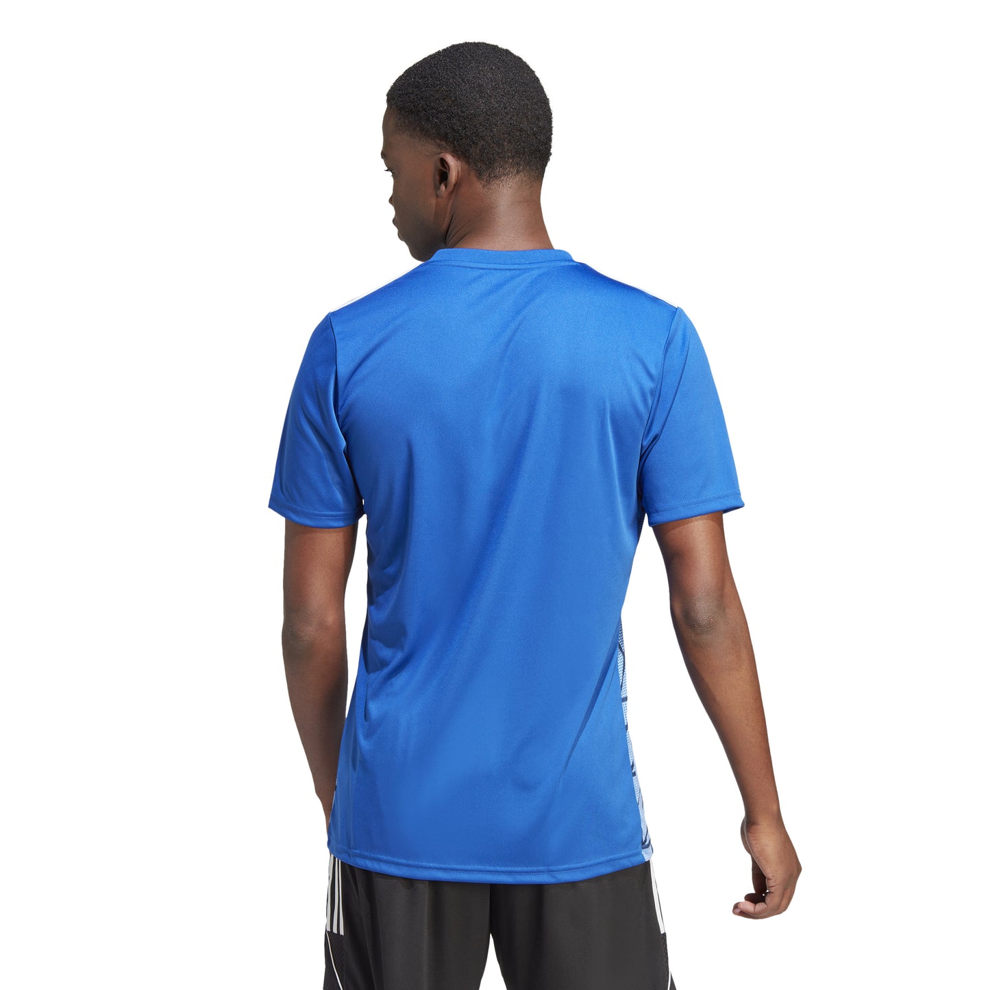 Adidas Team Icon 23 SS Shirt Team Royal Blue