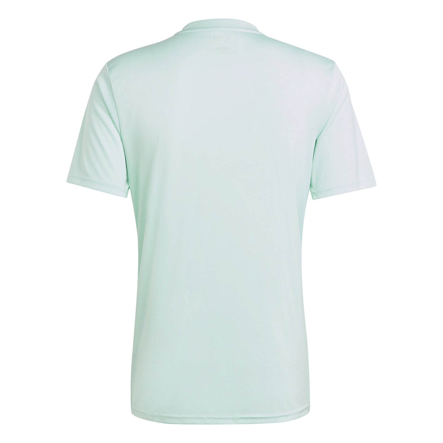 Adidas Team Icon 23 SS Shirt Clear Mint