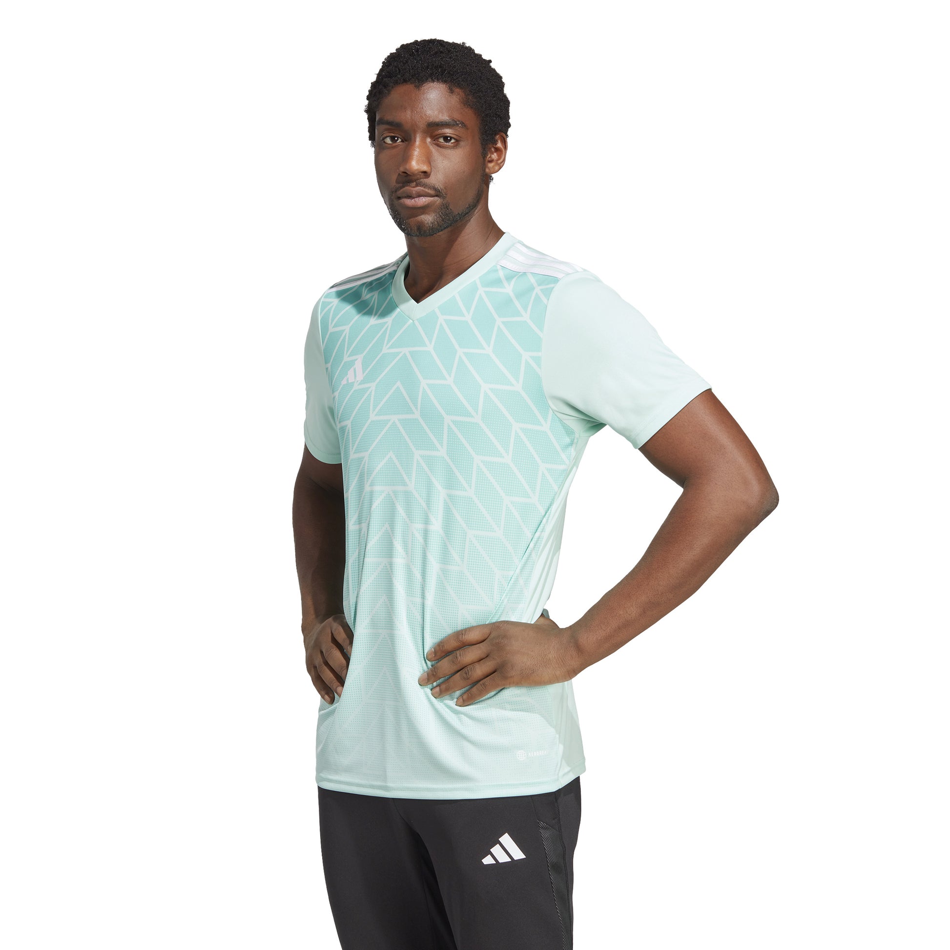 Adidas Team Icon 23 SS Shirt Clear Mint