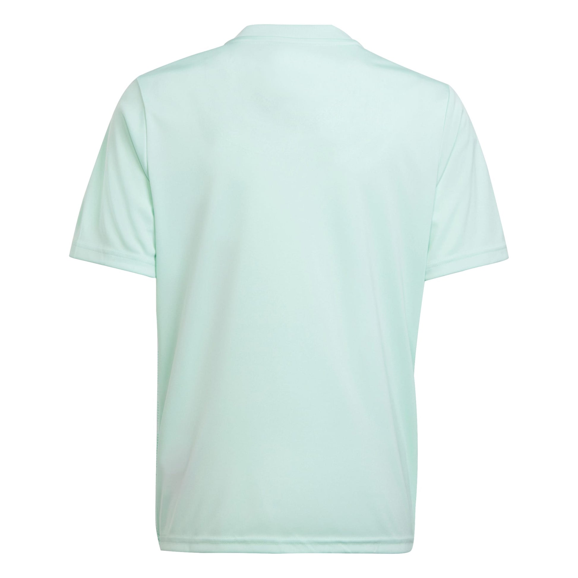 Adidas Junior Team Icon 23 SS Shirt Clear Mint