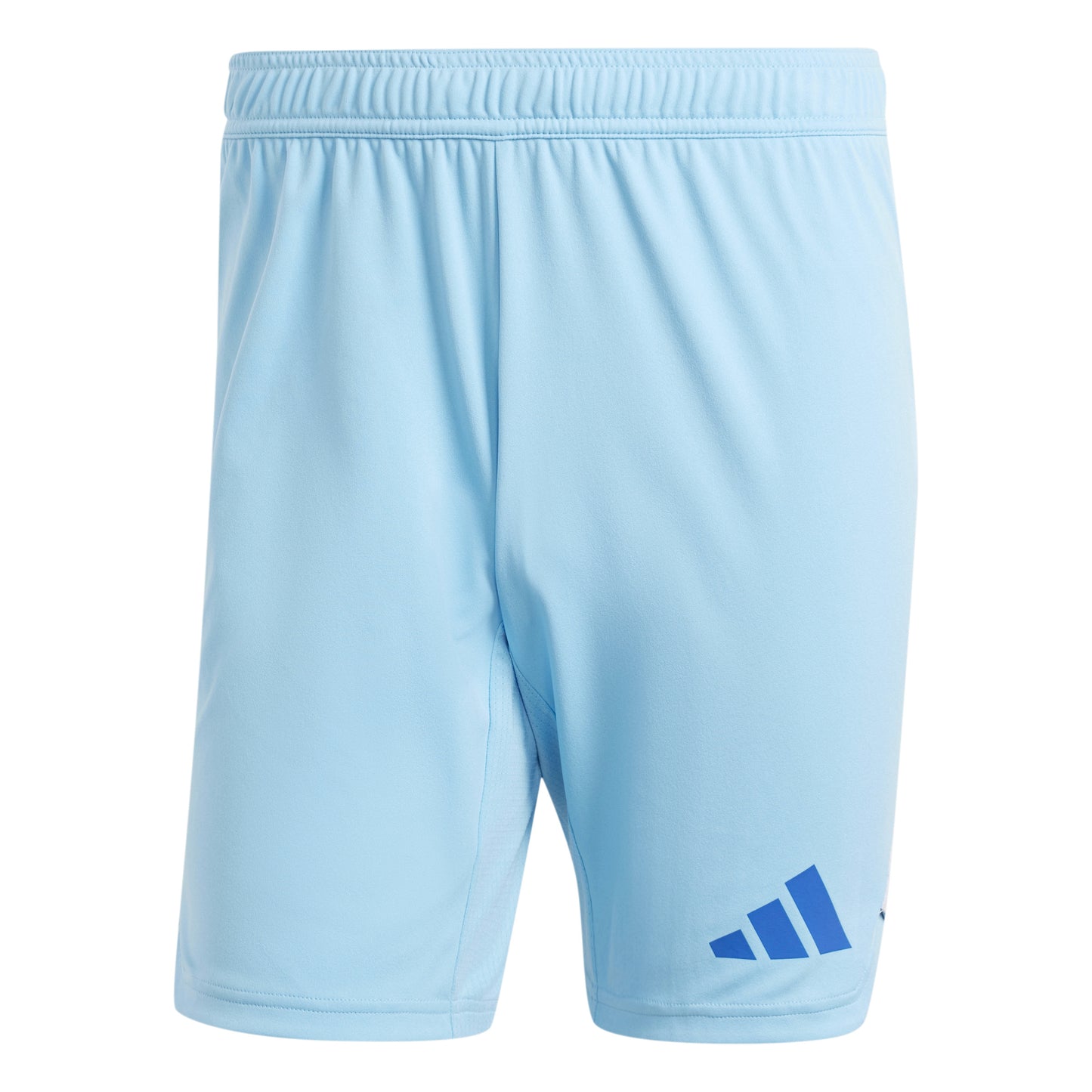 Adidas Tiro 24 Pro Goalkeeper Shorts Semi Blue Burst
