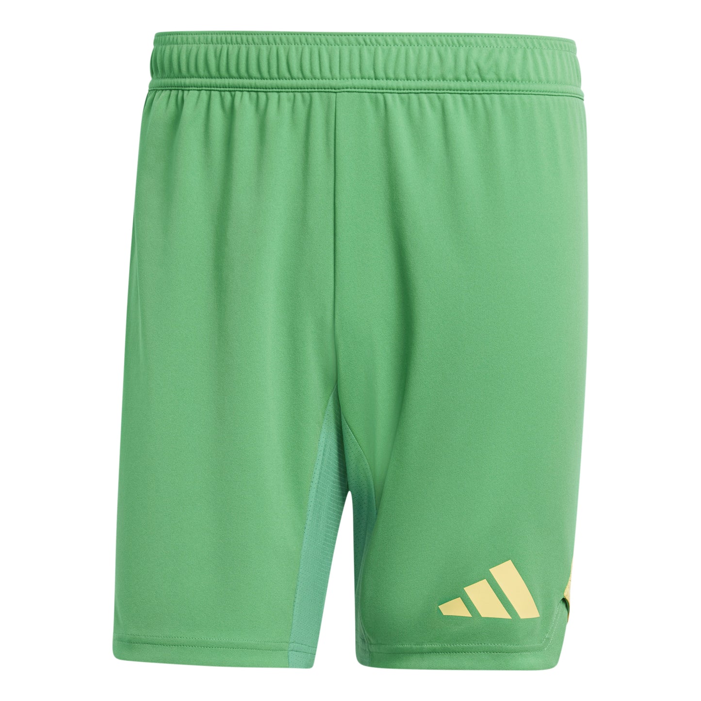 Adidas Tiro 24 Pro Goalkeeper Shorts Team Green