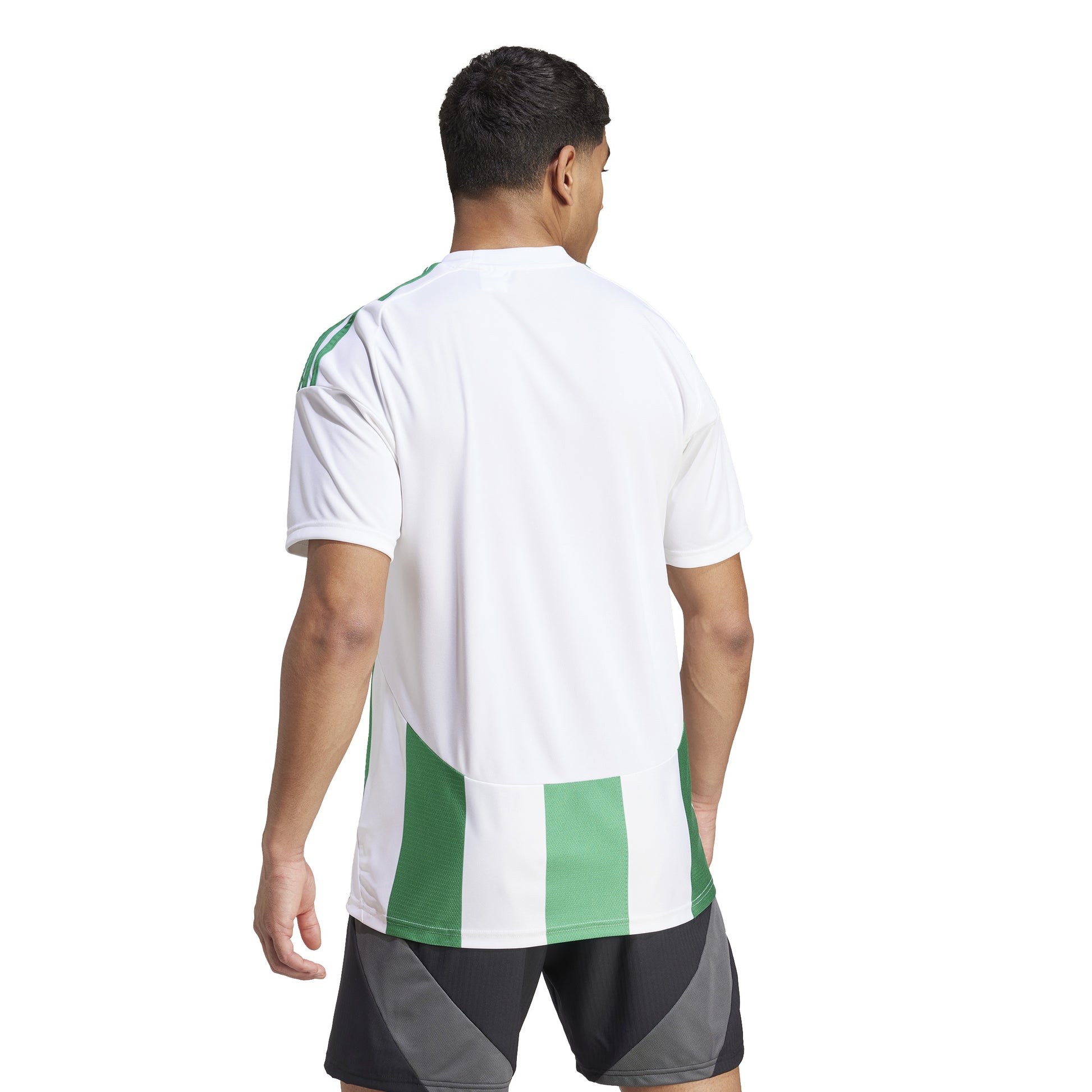 Adidas Striped 24 Jersey White/Team Green