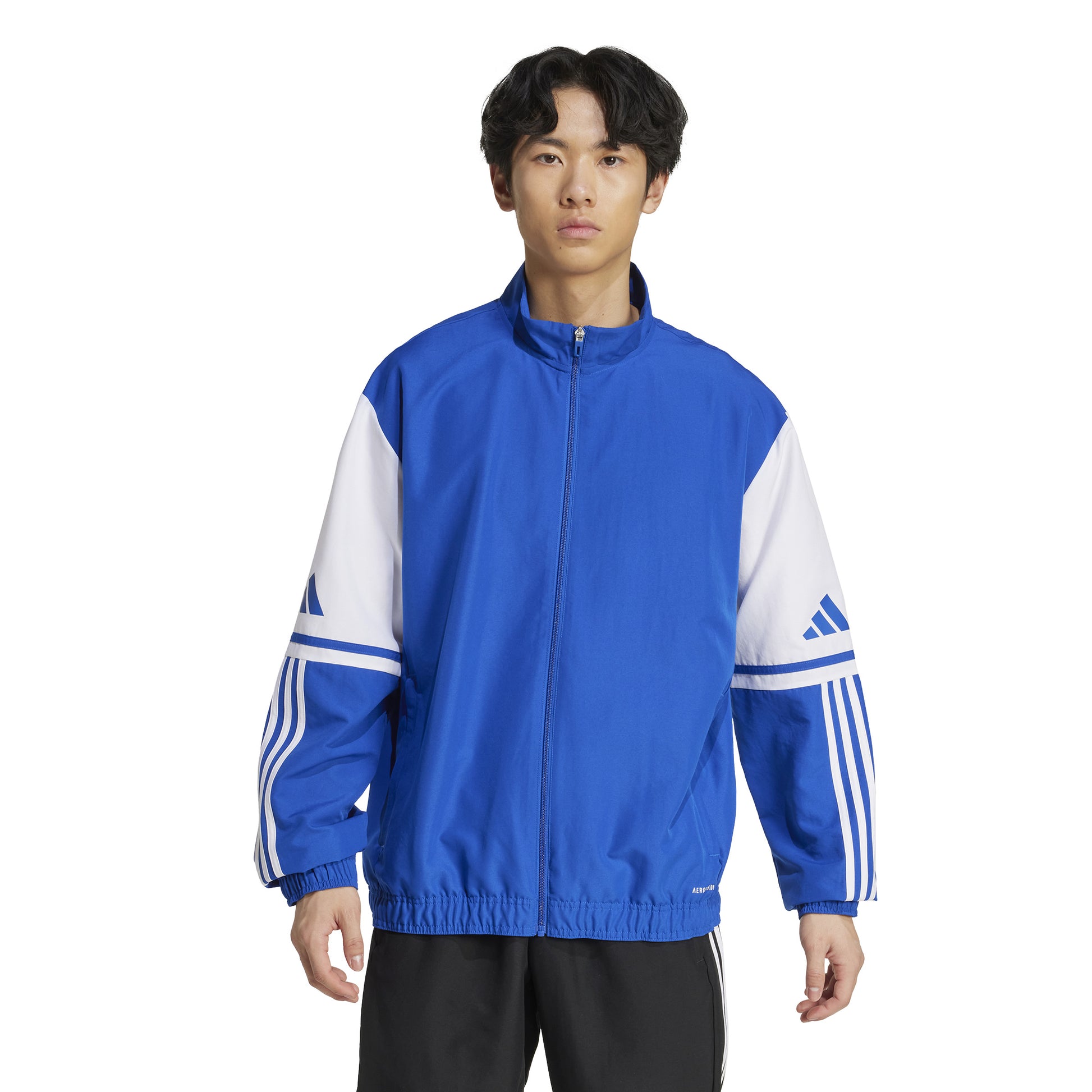Adidas Squadra 25 Presentation Track Jacket - Team Royal Blue/White