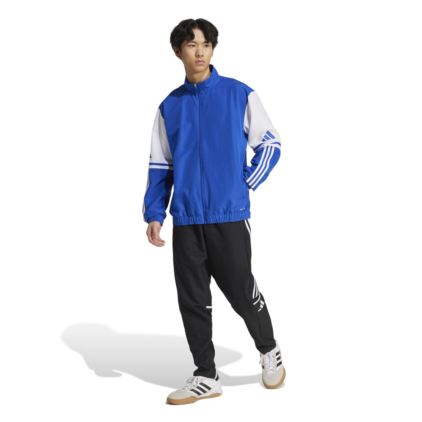 Adidas Squadra 25 Presentation Track Jacket - Team Royal Blue/White