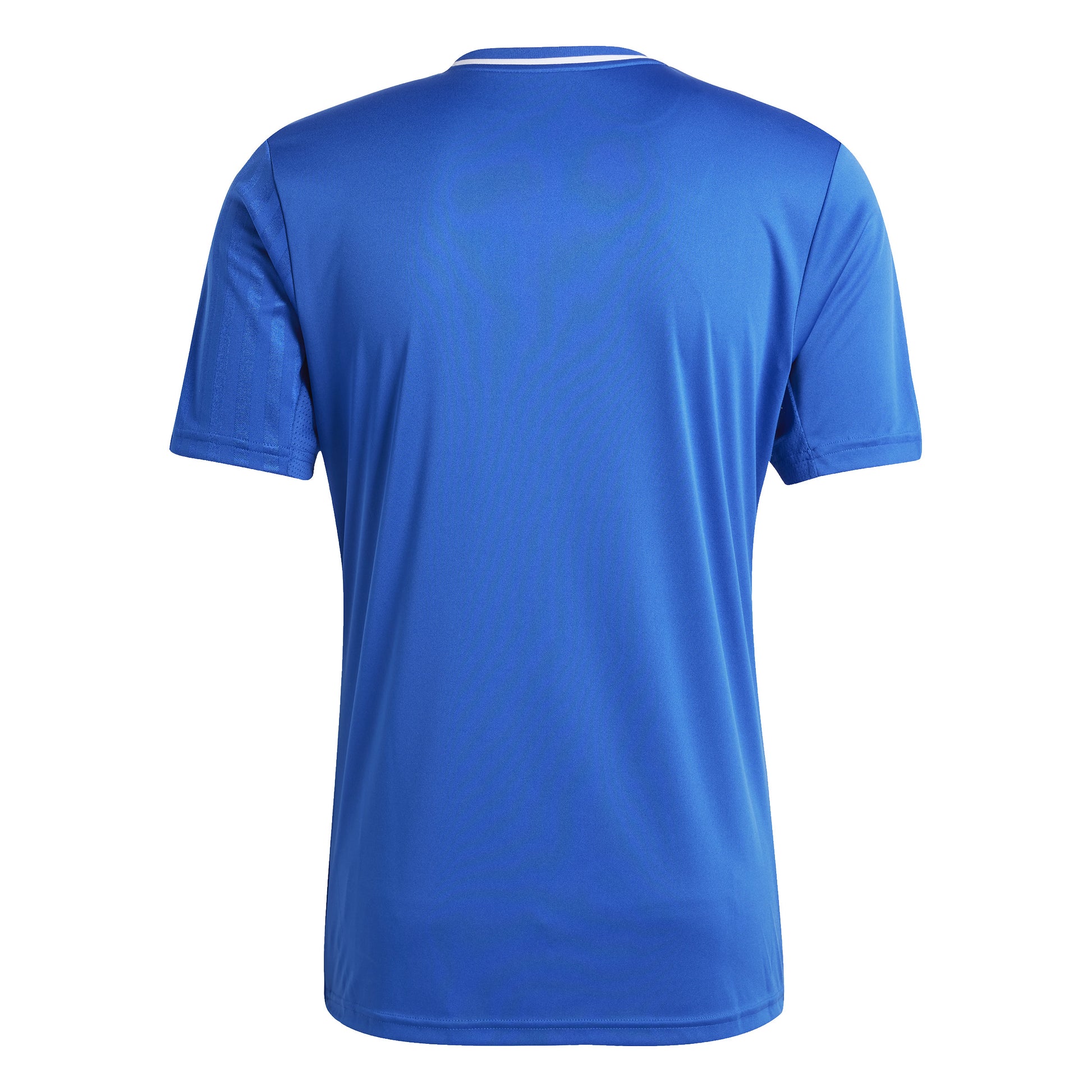 Adidas Campeon 25 SS Shirt Team Royal Blue/White