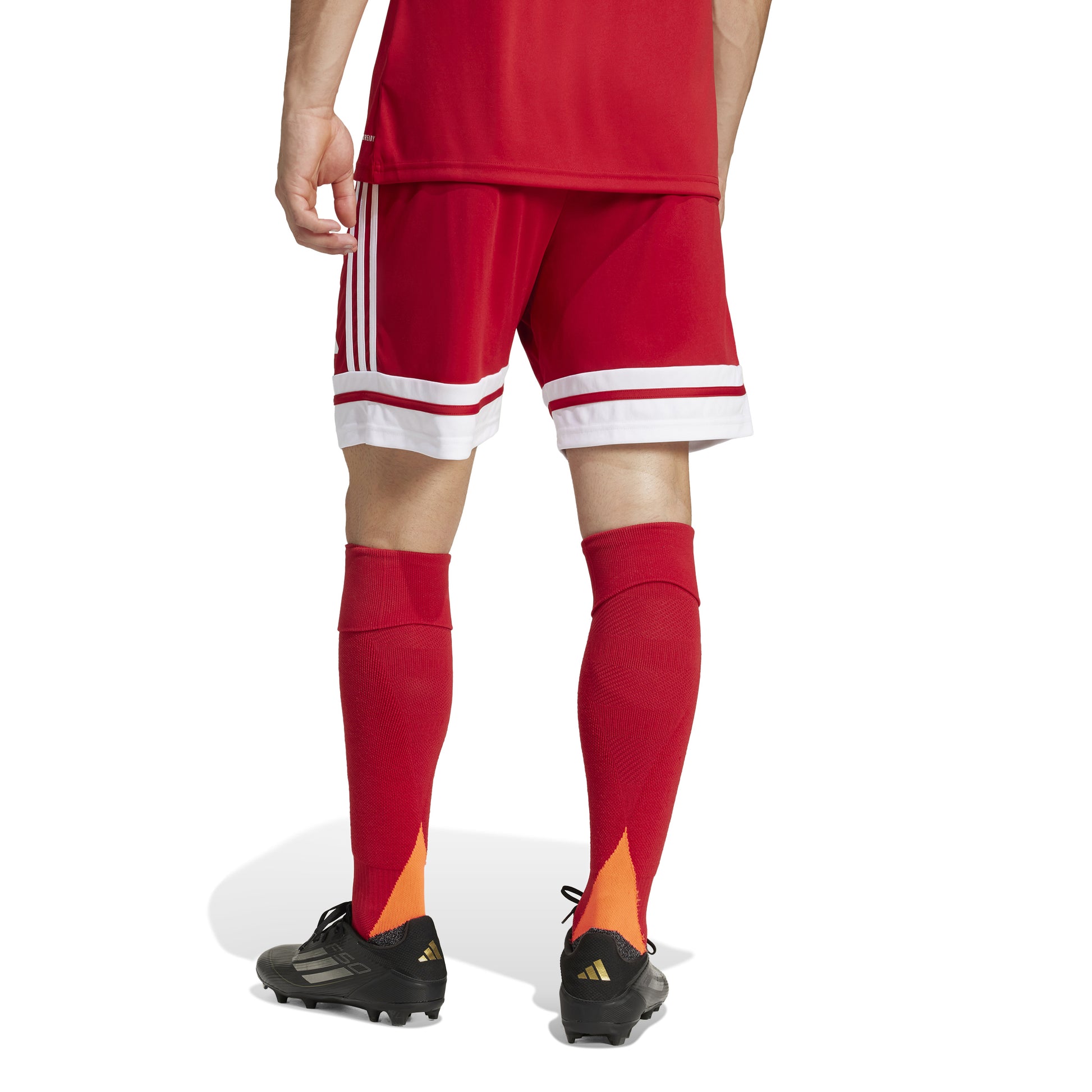 Adidas Squadra 25 Shorts - Team Power Red 2/White