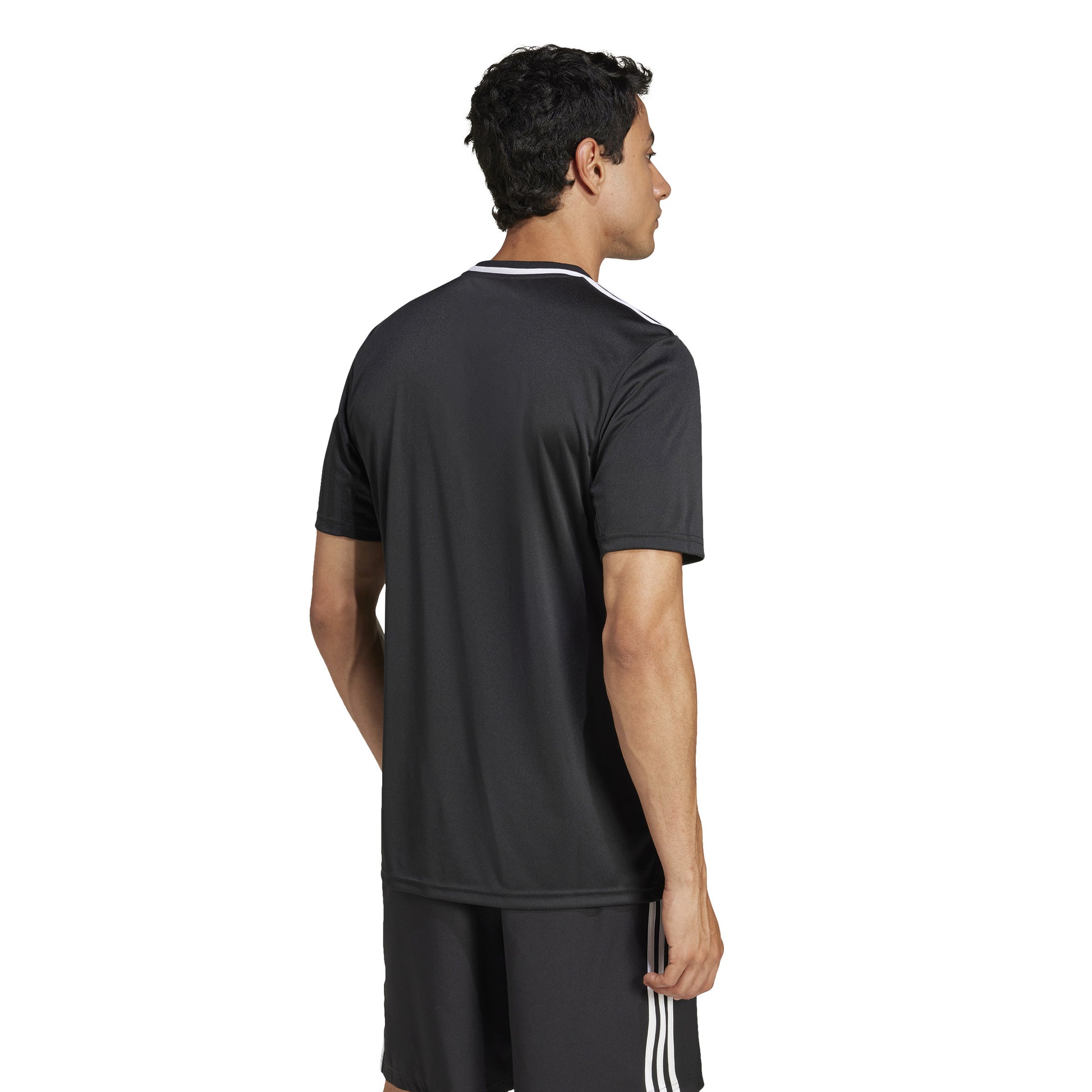Adidas Campeon 25 SS Shirt Black/White
