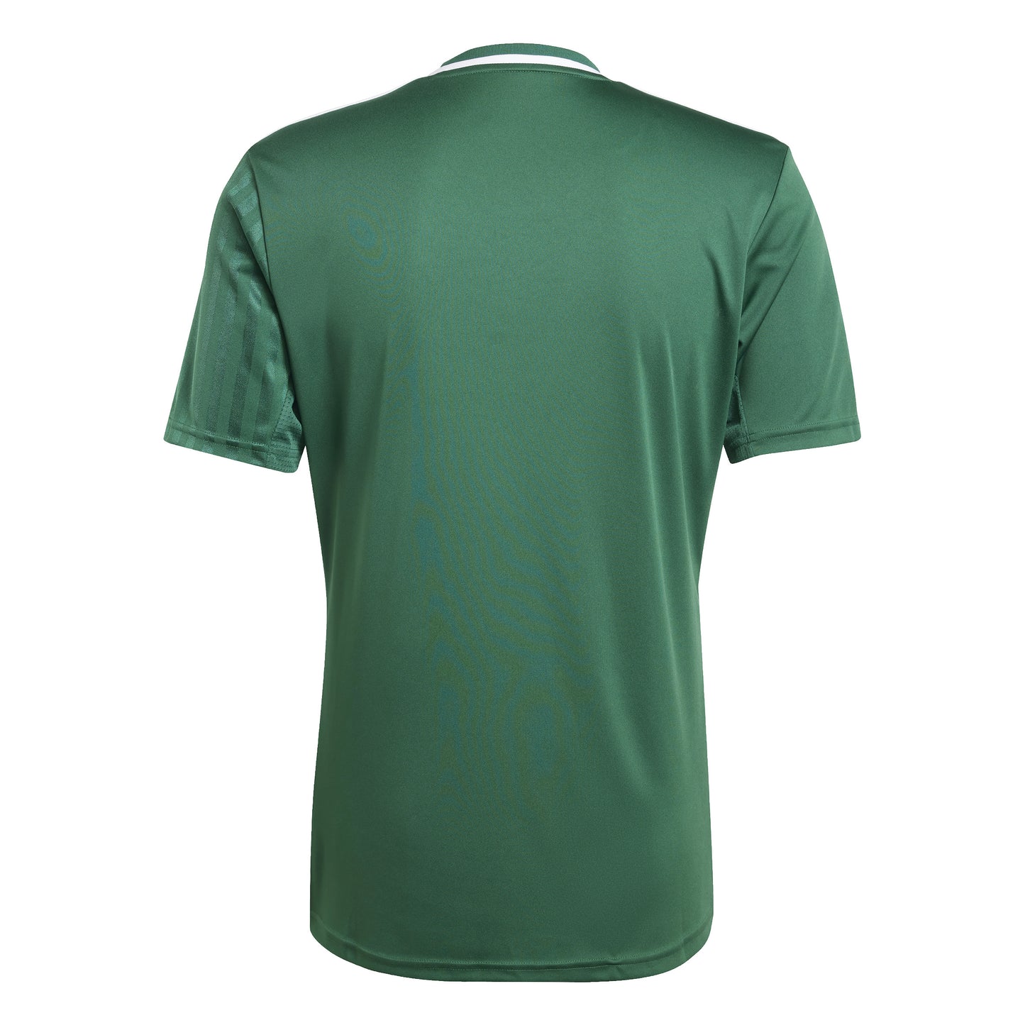 Adidas Campeon 25 SS Shirt Team Dark Green/White
