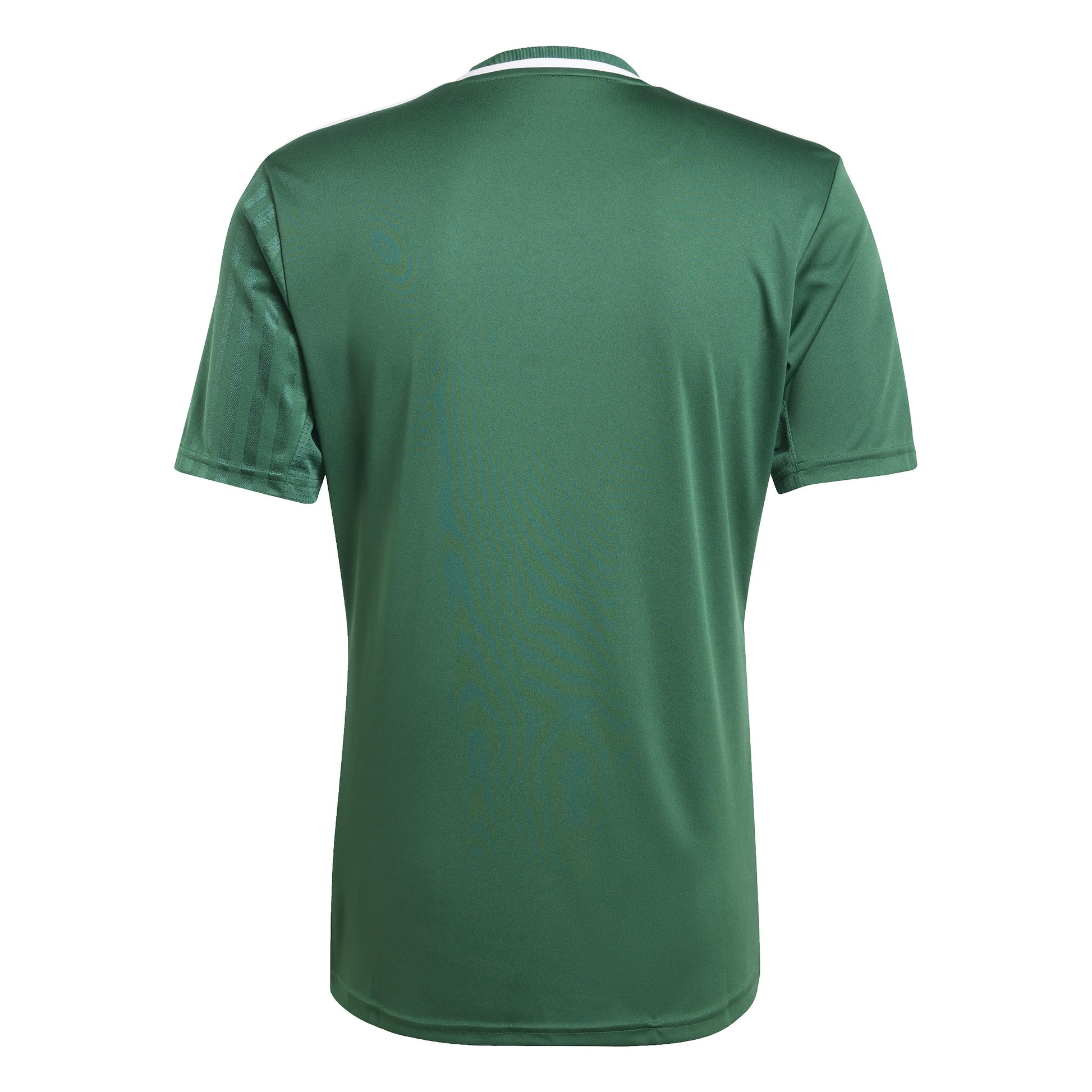 Adidas Campeon 25 SS Shirt Team Dark Green/White
