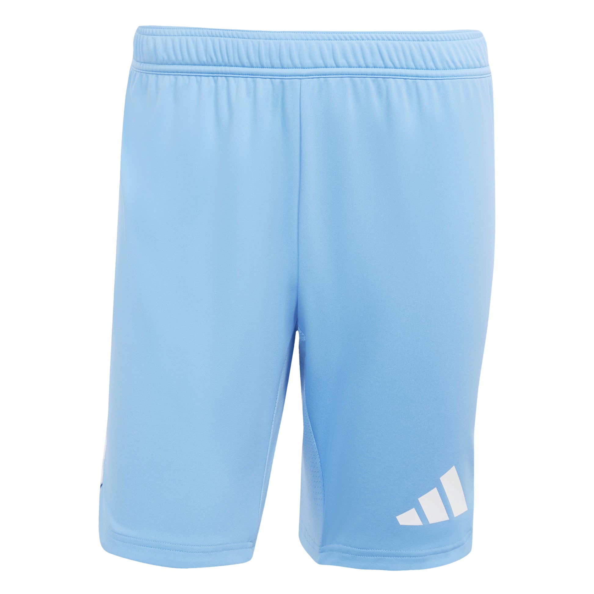 Adidas Tiro 25 Pro GK Shorts Blue Burst