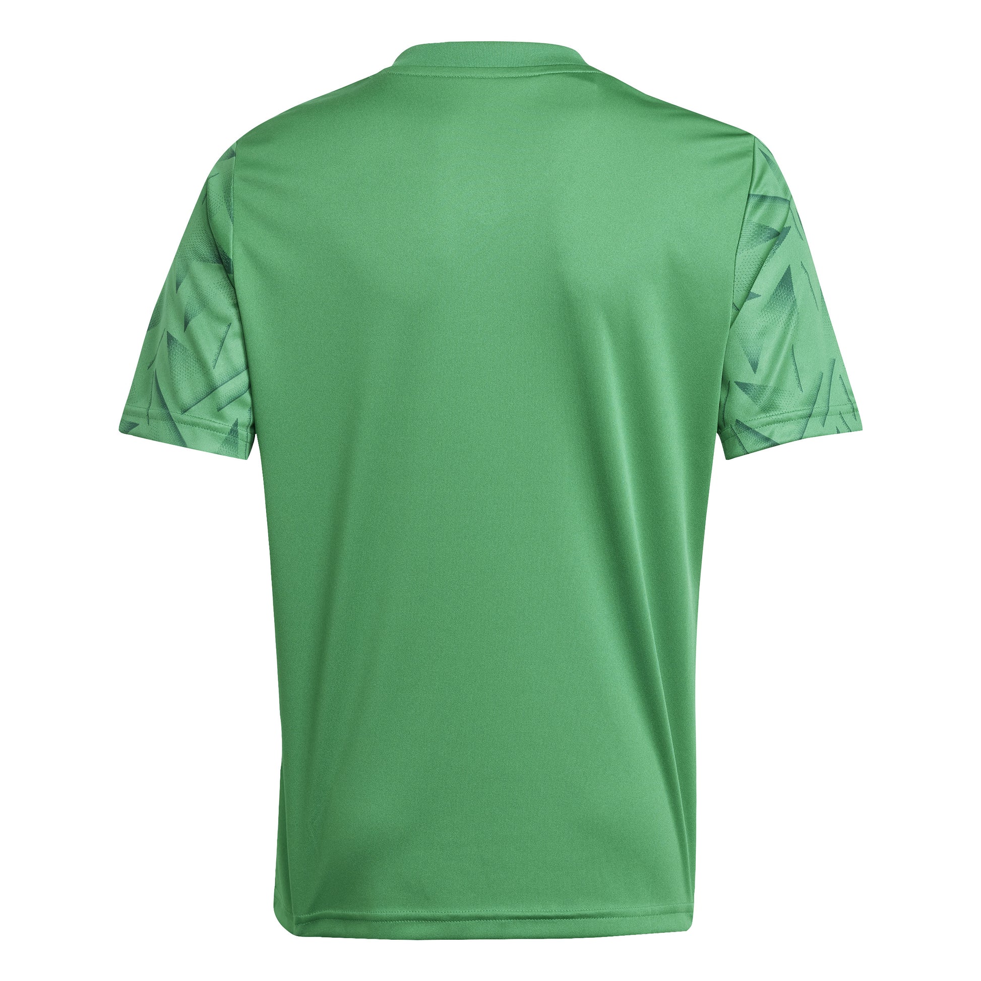 Adidas Junior Team Icon 25 SS Shirt Team Green/White